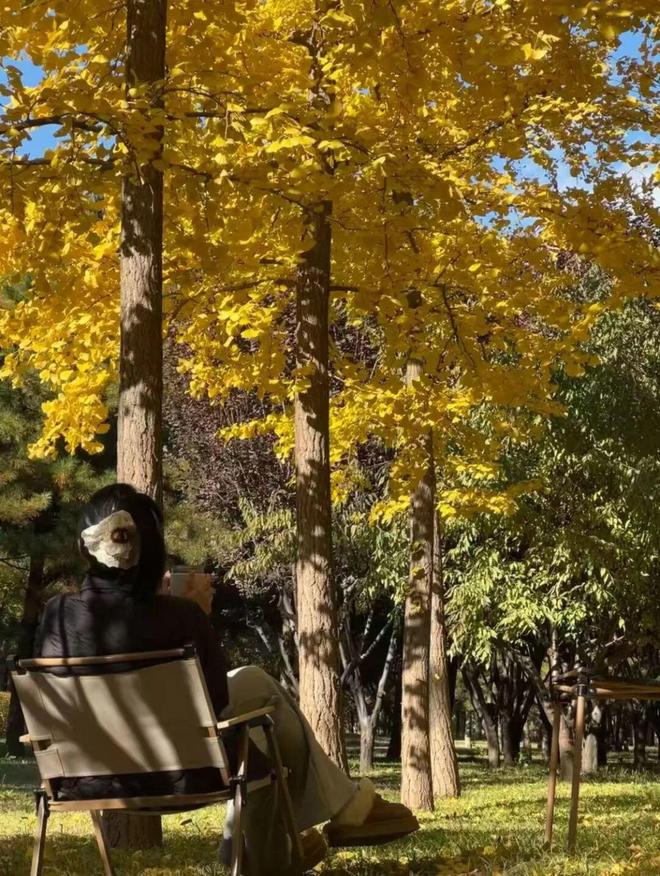 房我们把房车改成移动的家冰球突破游戏不买房不租(图8)