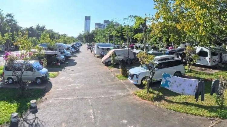 理：不得在公共绿地生火做饭、晾晒衣物冰球突破豪华版瑞丽、北海